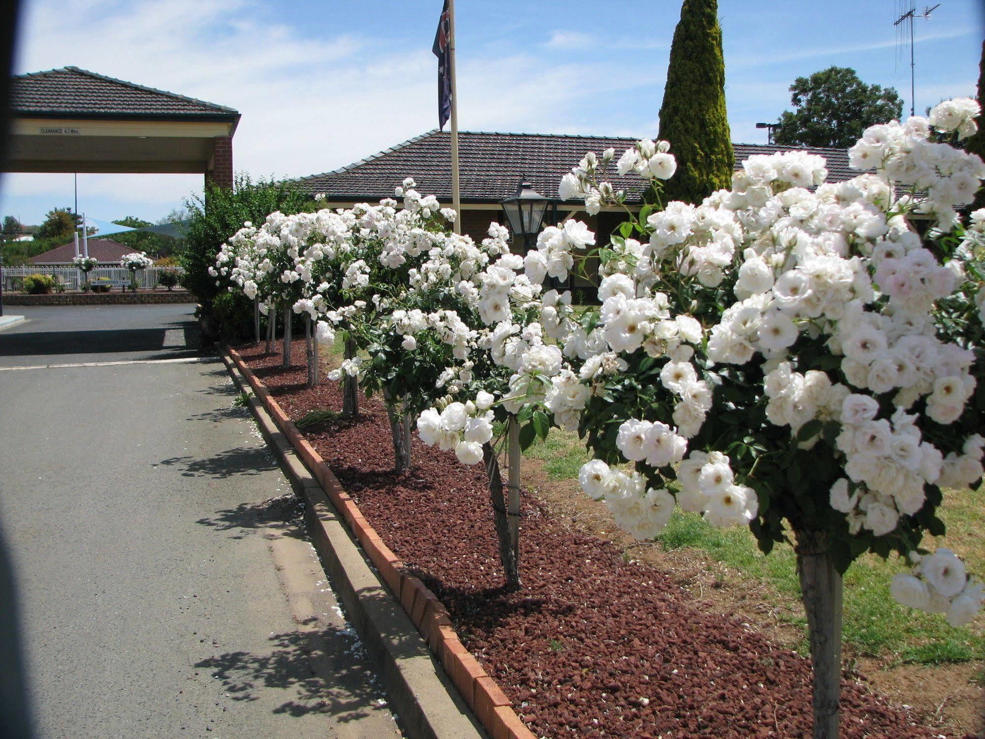 Bushman'S Motor Inn Parkes Bagian luar foto